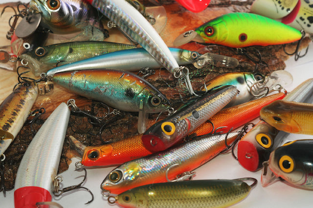 Which Freshwater Lure is the Right Choice? – Fishing Online