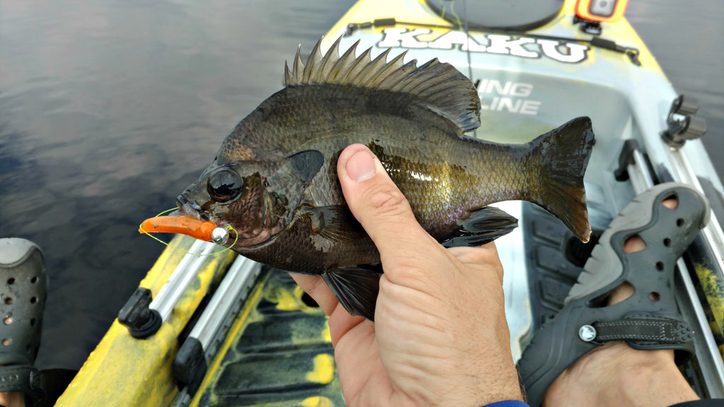 Winter and Spring Bass Fishing Patterns in Pennsylvania