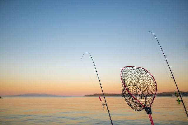 Kayak Fishing - Do You Really Need A Net?