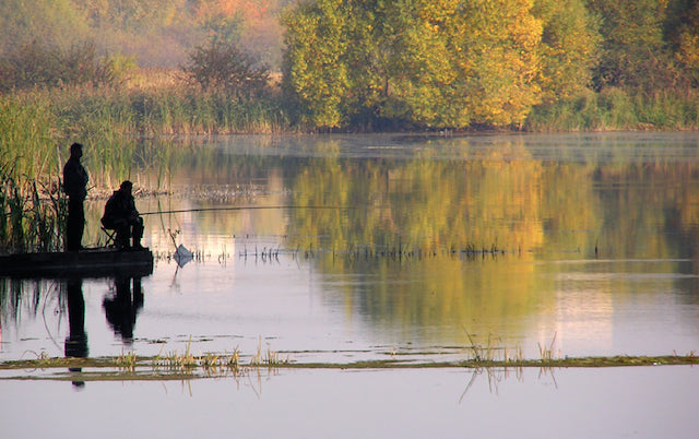 Tips for Shore Bass Fishing