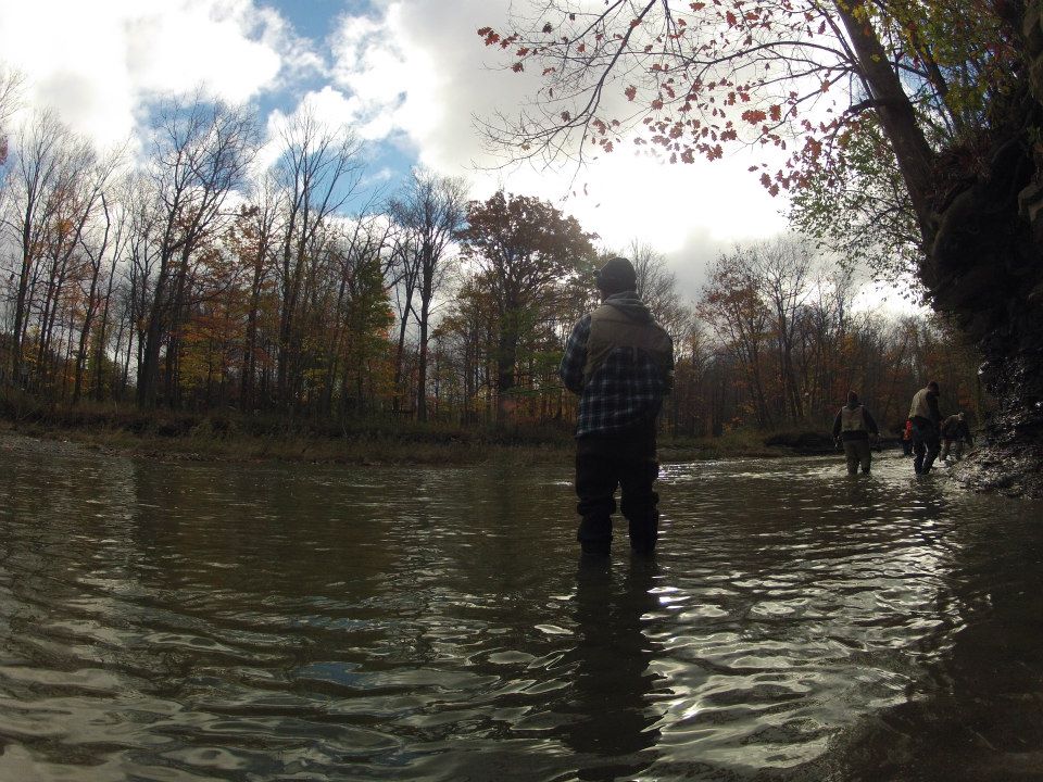 Lake Erie Steelhead Fishing