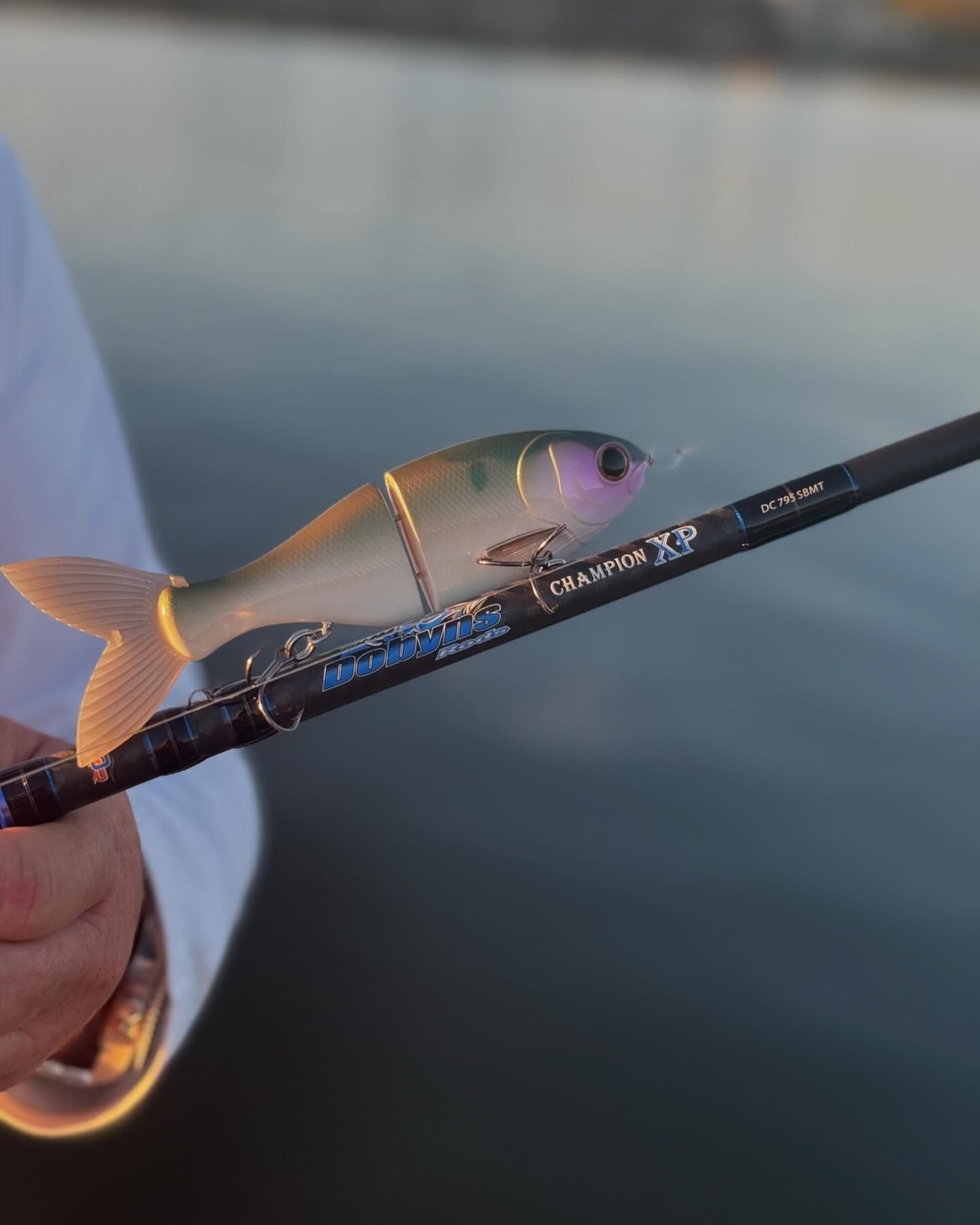 Dobyns Champion XP Series Casting Rod [Swimbait Rod]