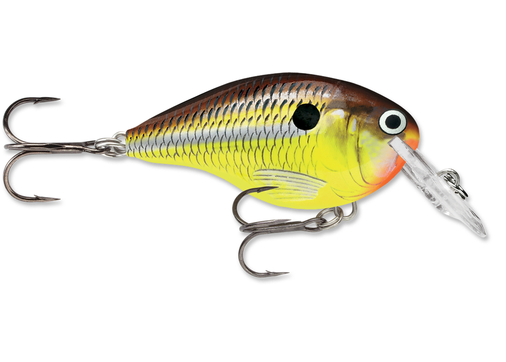 Rapala DT (Dives-To) Series Crankbaits - HOT MUSTARD