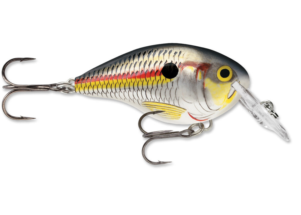 Rapala DT Series Dives-To 10 Big Shad Fishing Lure 海外 即決 - スキル、知識